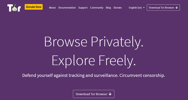are tor browser safe